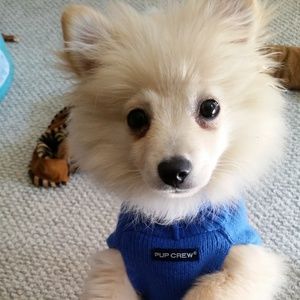 Meet your Posher, Traci